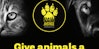 Paw Justice Charity