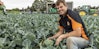 Oakley's Premium Vegetables | From Farm to Plate