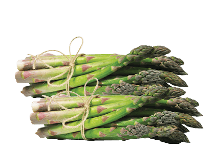 Freshly Picked Bunched Asparagus 250g