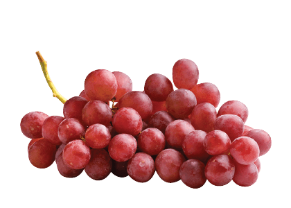 Loose Red Grapes