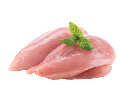 Fresh Chicken Breast Fillets Skinless