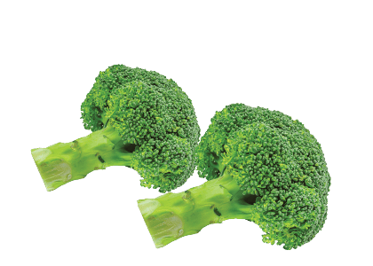 Freshly Picked Broccoli