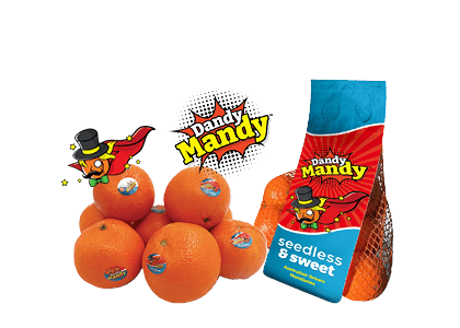 Dandy Mandy Seedless Mandarins Loose or 1kg