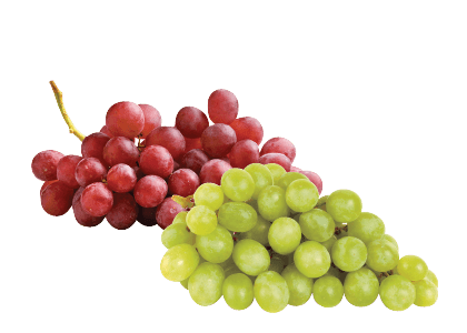 Loose Seedless Green Sweet Globe or Red Krissy Grapes
